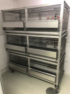 Group cages for poultry